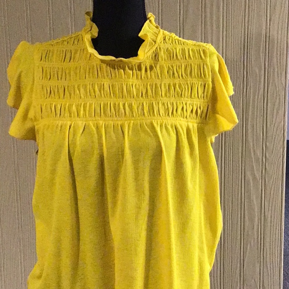 Ann Taylor Short Sleeved Top